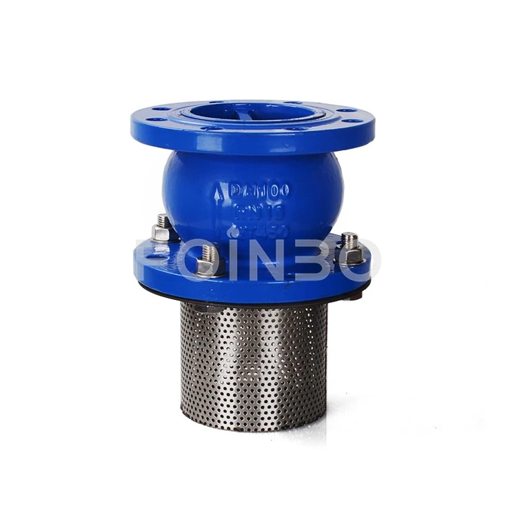 Flange End Foot Valve(2)