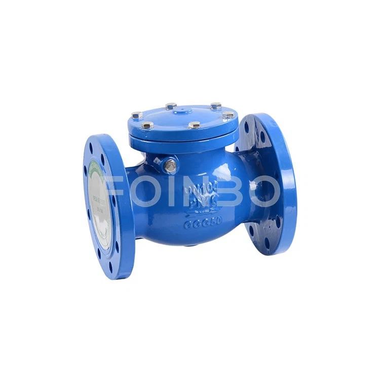 Swing Check Valve 1-12 (1)